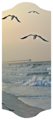 DARAY-C-126 Going Home (Seascape)